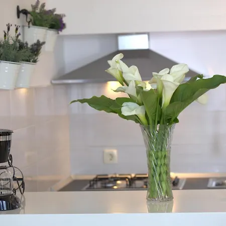 Apartament Mai Dubrownik Zewnętrze zdjęcie